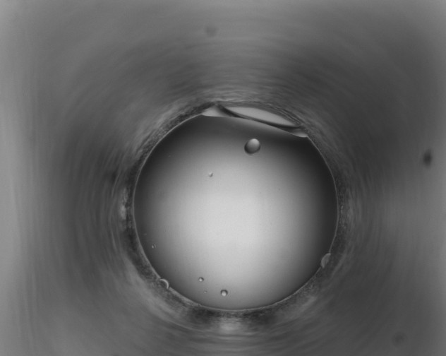 X0000116890264200912291309