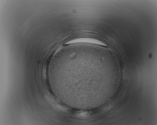 X0000116890267200912291309