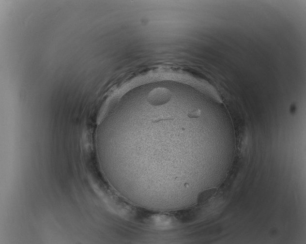 X0000116890272200912291309