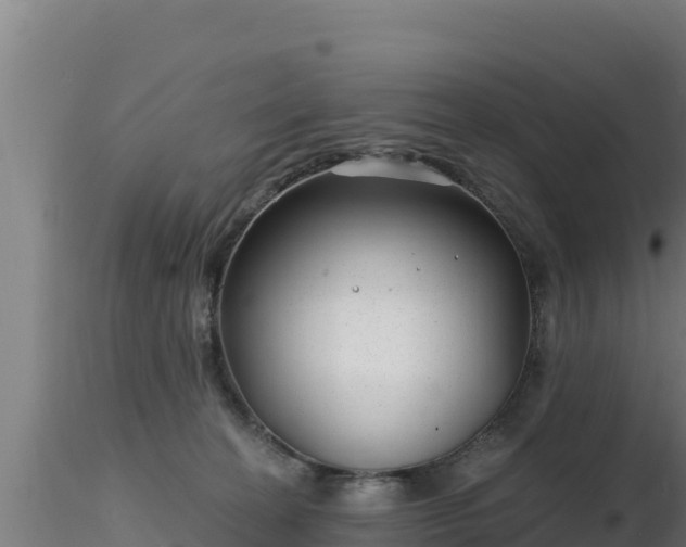 X0000116890274200912291309