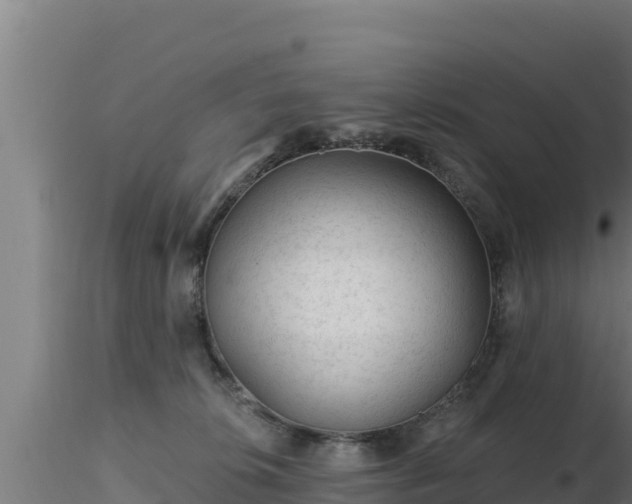 X0000116890276200912291309