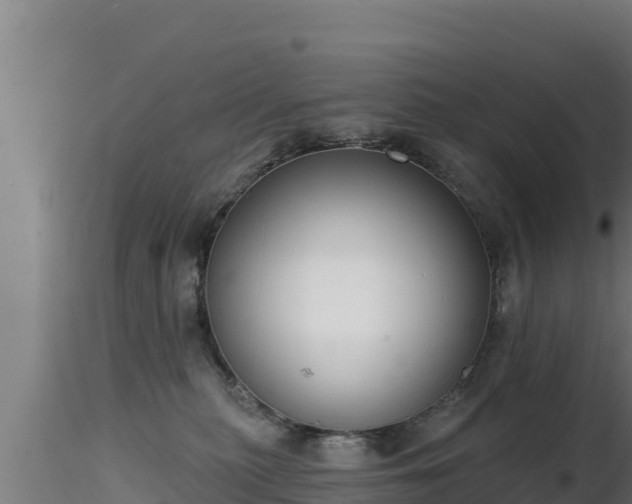 X0000116890279200912291309
