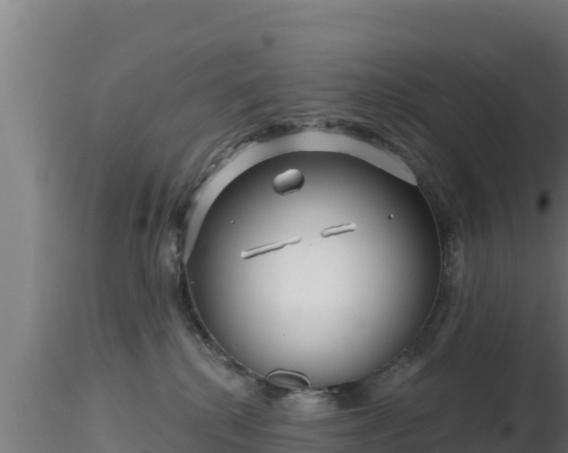 X0000116890280200912291309
