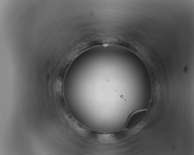X0000116890281200912291309