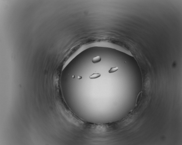 X0000116890282200912291309