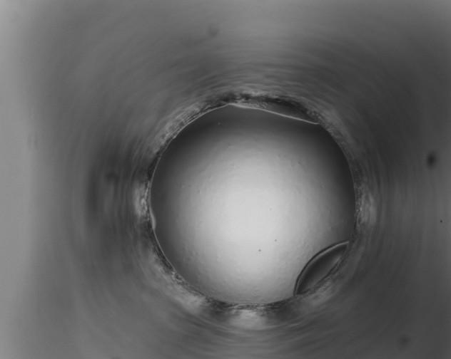X0000116890285200912291309