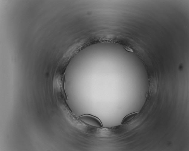 X0000116890287200912291309