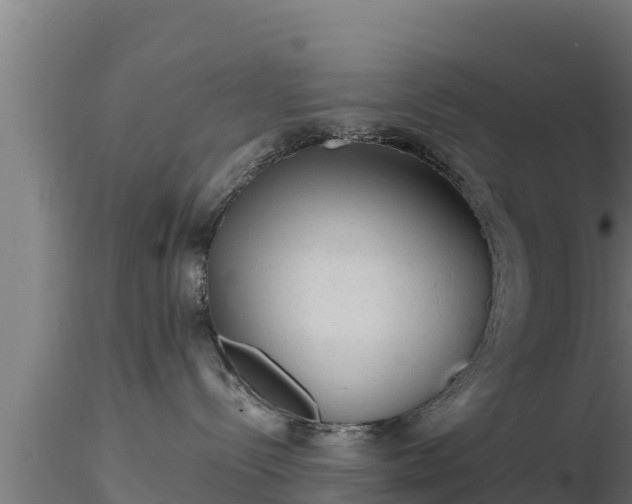 X0000116890288200912291310