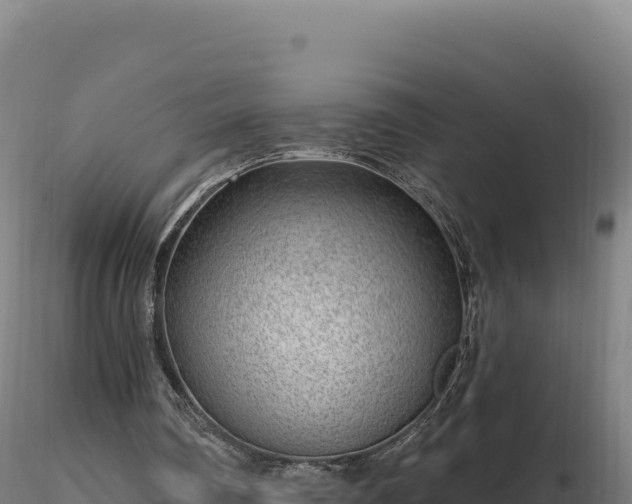 X0000116890290200912291309