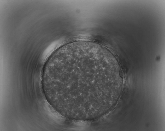 X0000116890293200912291309