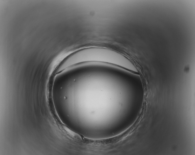X0000116890294200912291309