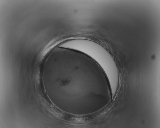 X0000116890295200912291309