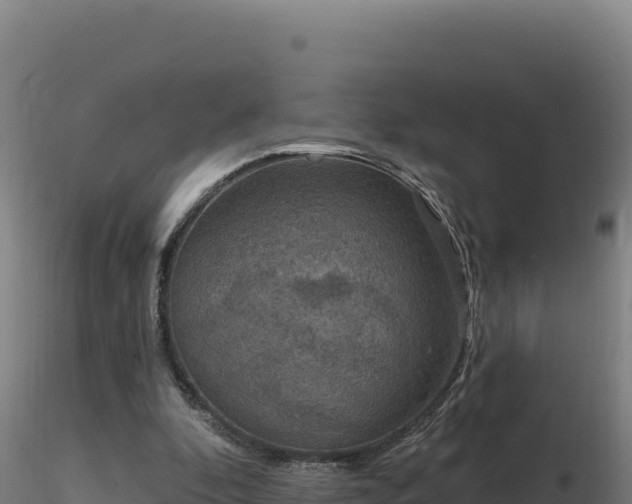 X0000116890296200912291309