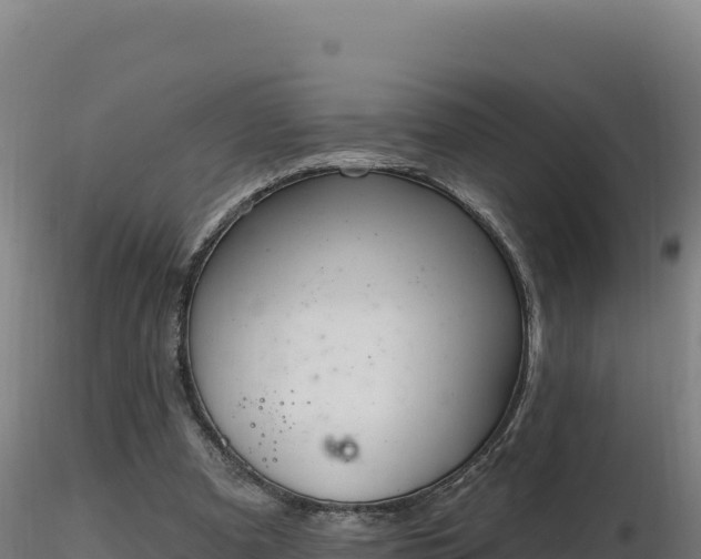 X0000116890297200912291309
