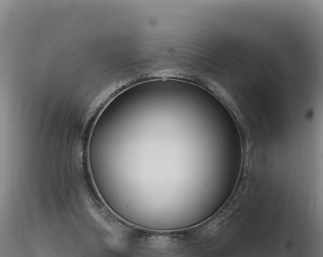 X0000116890298200912291309