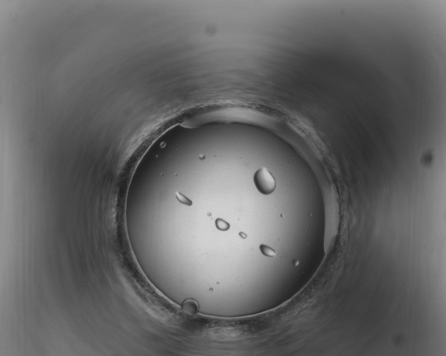 X0000116890299200912291309