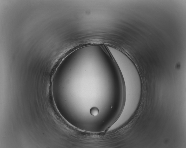 X0000116890301200912291309