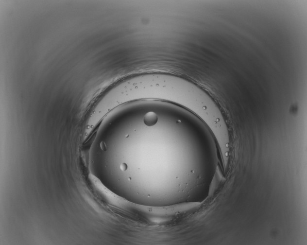 X0000116890302200912291309