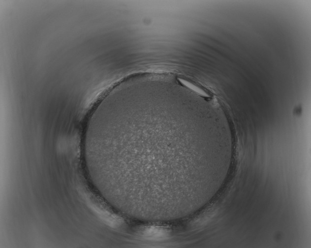 X0000116890303200912291309