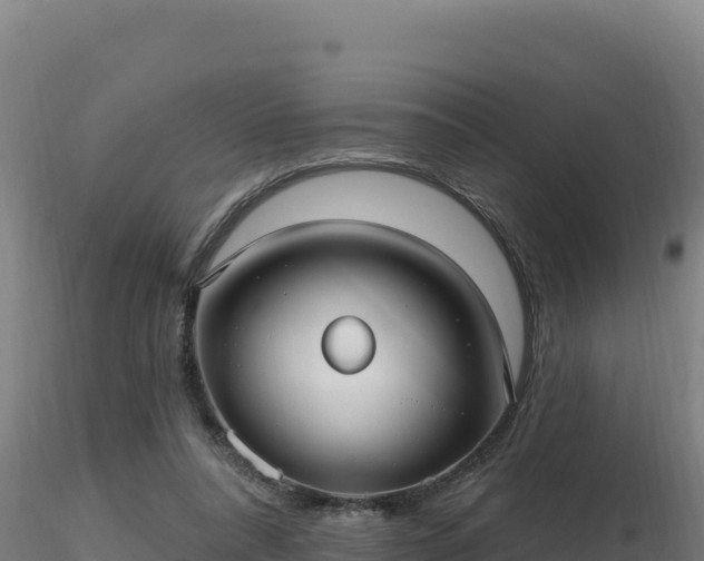 X0000116890304200912291309