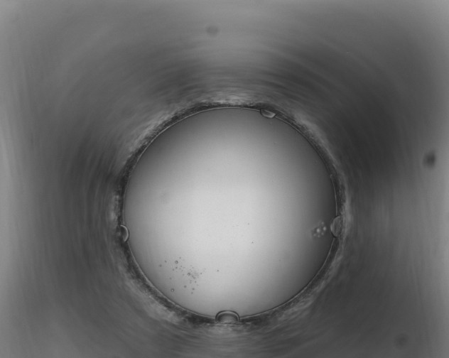 X0000116890305200912291309