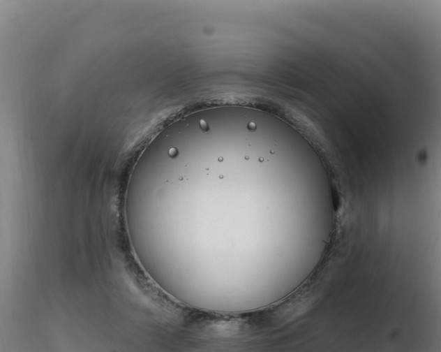 X0000116890306200912291309