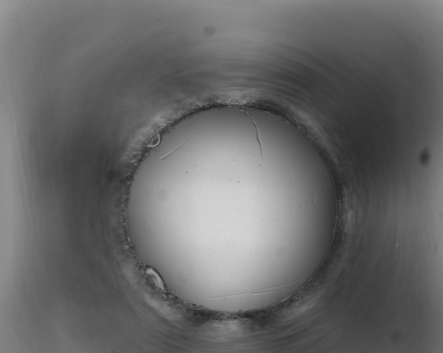 X0000116890307200912291309