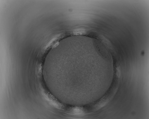 X0000116890308200912291309