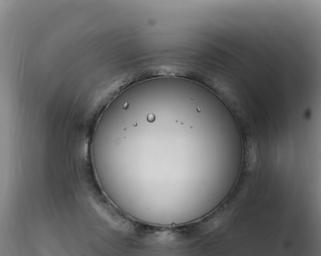 X0000116890310200912291309