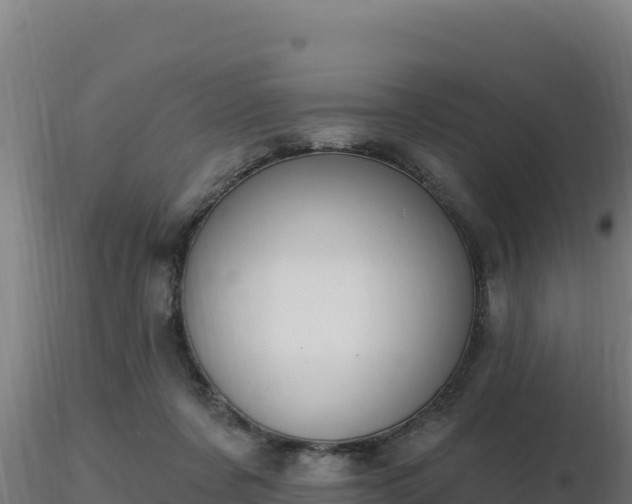 X0000116890311200912291309
