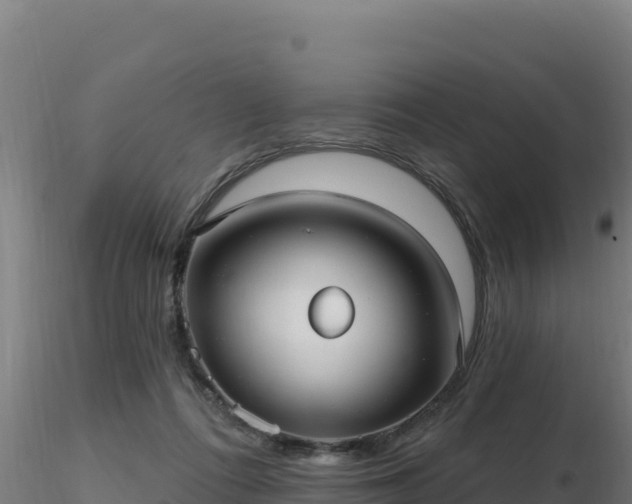 X0000116890312200912291309