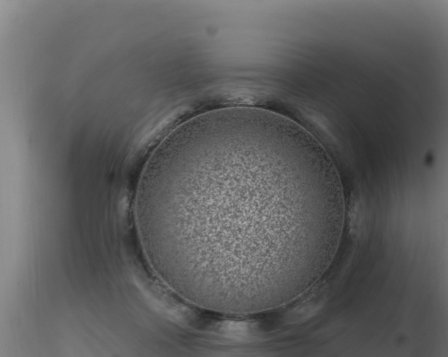 X0000116890314200912291309