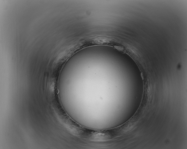 X0000116890315200912291308