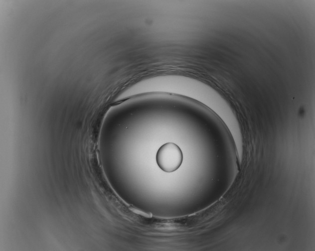 X0000116890316200912291308