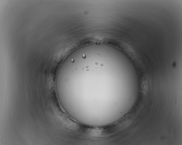X0000116890318200912291308