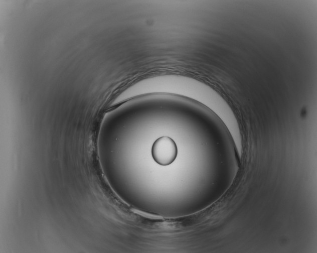 X0000116890320200912291308