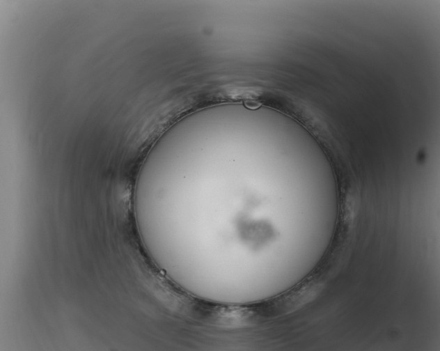 X0000116890321200912291308