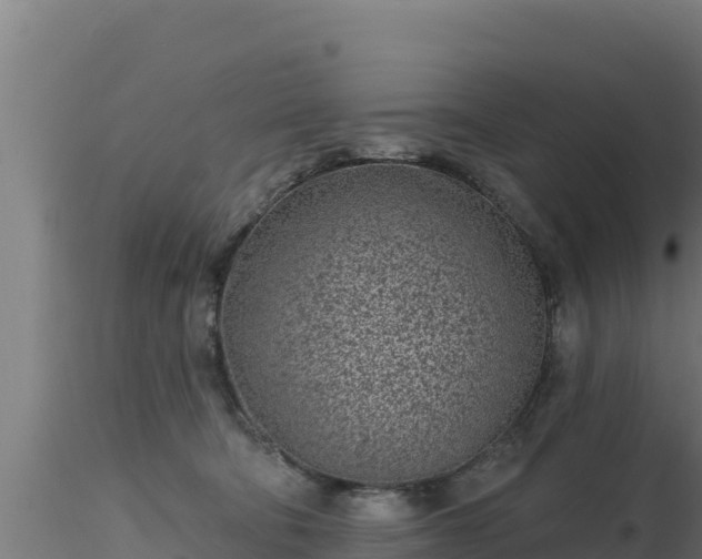 X0000116890322200912291308