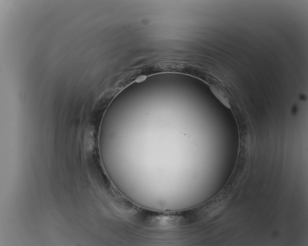 X0000116890323200912291308