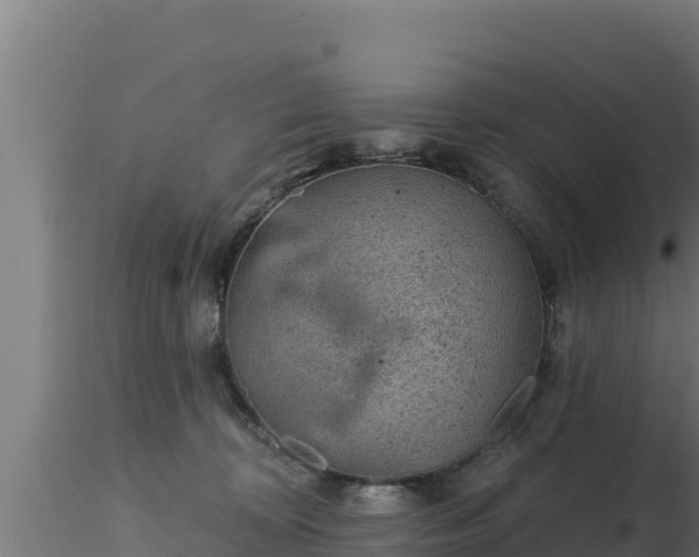 X0000116890324200912291308