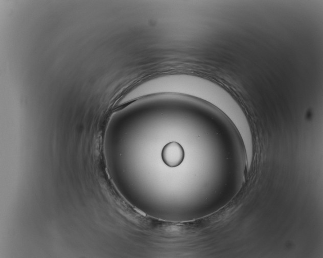 X0000116890325200912291308