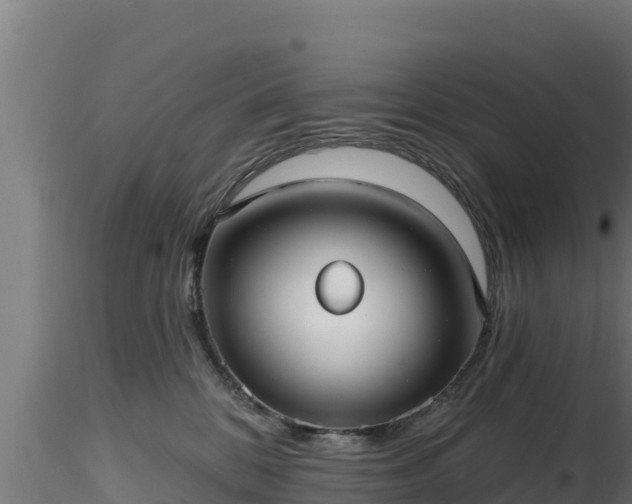 X0000116890328200912291308