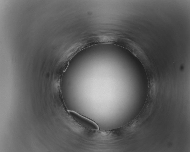 X0000116890329200912291308