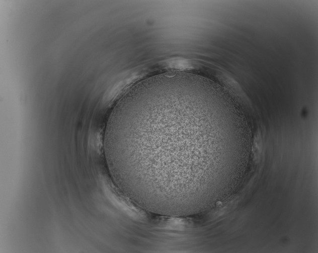 X0000116890330200912291308