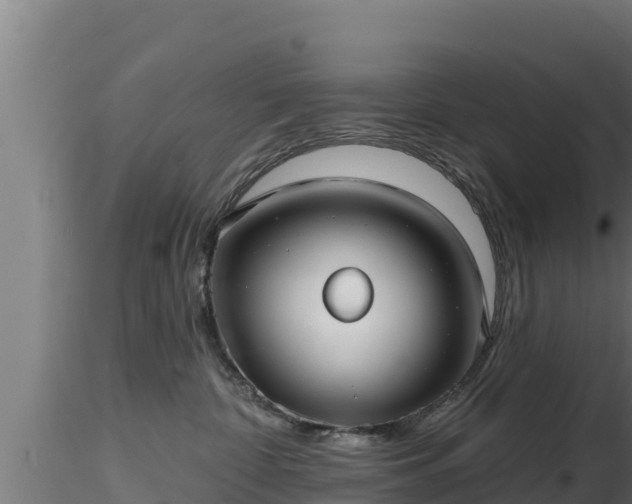 X0000116890332200912291308
