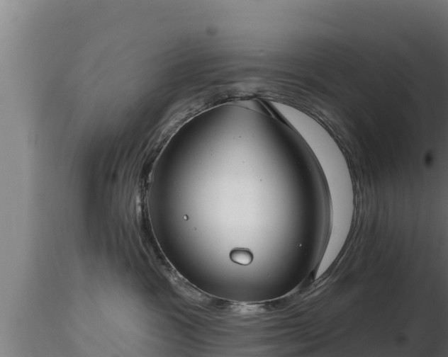X0000116890333200912291308