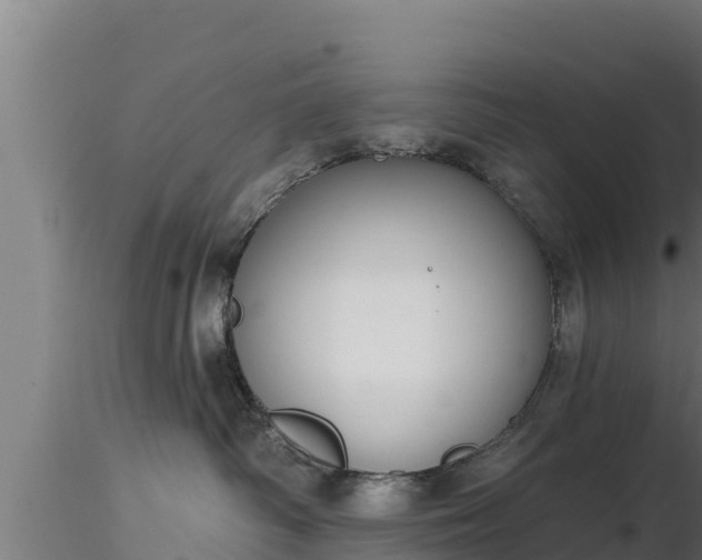 X0000116890334200912291308