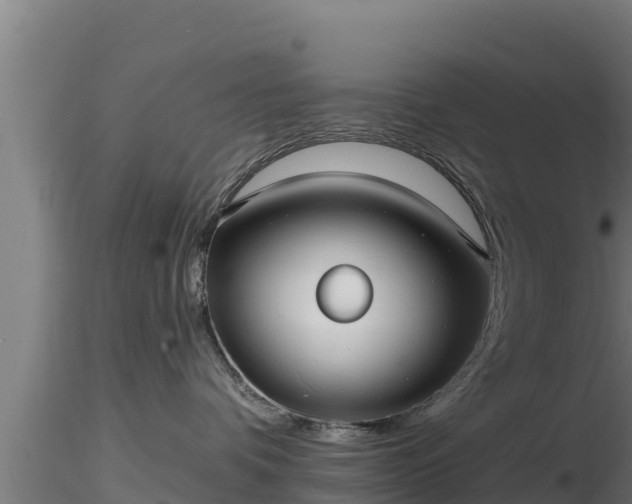X0000116890336200912291308