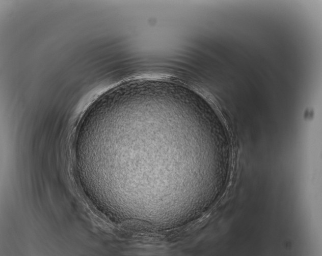 X0000116890337200912291308