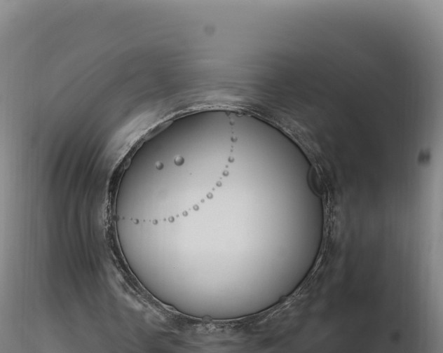 X0000116890338200912291308